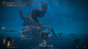 Матерь Пальцев Метир Тупой Босс по Нубски ELDEN RING #DLC 139lvl