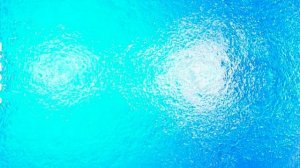 Это видео разбудит инстинкт охотника у вашего кота. Видео игра для котов | Cat games