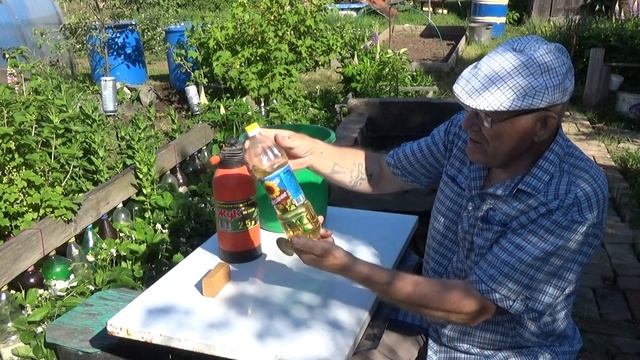 Как бороться против тли. смотреть онлайн