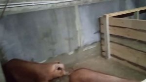 Новости из сарая. Доделали клетки для свиней. Продолжаем перестройку, ждём очередные опоросы