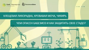 Клещевая лихорадка, кровавая моча, чихирь: чем опасен бабезиоз и как защитить свое стадо