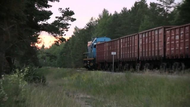 Тепловоз ТЭМ7-0234 близ ст. Лийва / TEM7-0234 near Liiva station смотреть онлайн