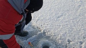 Зимняя рыбалка. Нижегородская область. Кстово