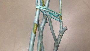 Розы из коробки Как правильно выбрать в магазине