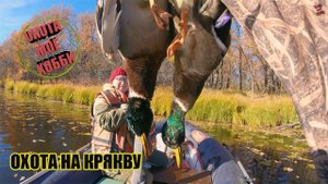 Охота на уток продолжается! Охота2020/ МР-155 profi в деле/Удачно зашел.