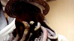 ВОСКОВЫЕ ФИГУРЫ... мультяшные