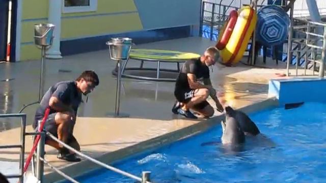 MVI 0389 смотреть онлайн