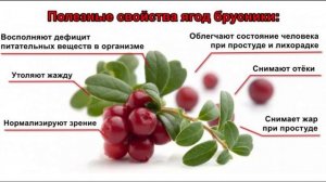 Чай из брусники. Полезный  № 74