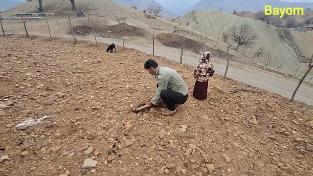 Nomadic man's effort to garden his living environment and his children смотреть онлайн