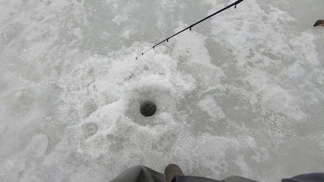 Блёсна с крючком на цепочке по окуню #РыболовныйГид #РыбалкаКруглыйГод #ФинскиеБлёсна #ПогодаКарели смотреть онлайн