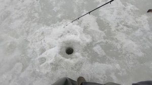 Блёсна с крючком на цепочке по окуню #РыболовныйГид #РыбалкаКруглыйГод #ФинскиеБлёсна #ПогодаКарели