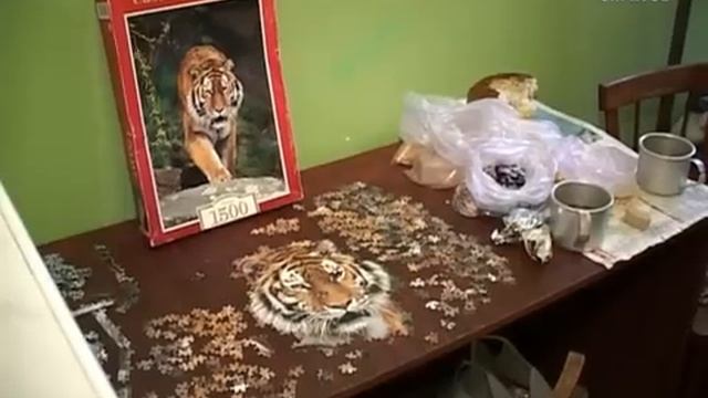 Депортация на родину