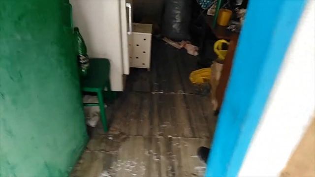 Новая Дача. Зима