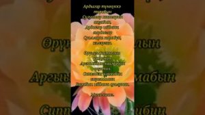 Анна Барашкова....