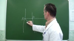 Топография паховой области и пахового треугольника