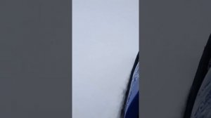 Снегоход Рысь