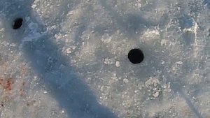 Рыбалка на блесну на Камчатке и СВП "Бриз 420"