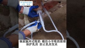 Доильный мини аппарат для коз