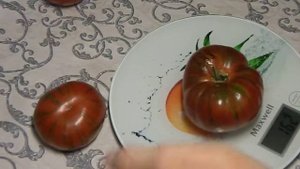 Томат Темные полосы Сигеля. Тест зрелых плодов.