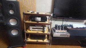 Reisong Boyuu A 10+Monitor Audio PL 300 ll