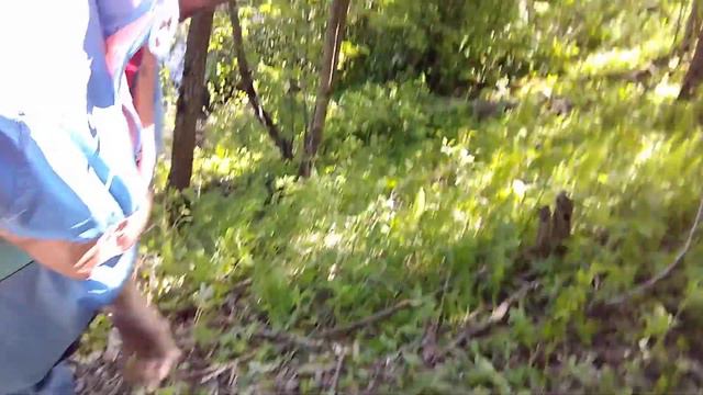 Помогаю бобрам смотреть онлайн