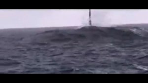 5 СЛУЧАЕВ КОГДА МЕГАЛОДОНА СНЯЛИ НА КАМЕРУ!