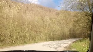 Чвижепсе. Источник с минеральной водой у Медвежьего угла (Красная Поляна)