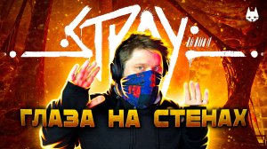 ? Stray ? КУДА Я ВООБЩЕ ПОПАЛ (Часть 3)