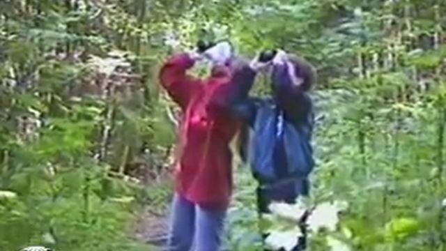 Изучение видового состава и численности птиц методом маршрутного учета смотреть онлайн