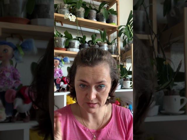 Можно ли выращивать орхидеи без использования специальных препаратов для цветов?