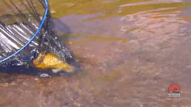 Ловля линя смотреть онлайн