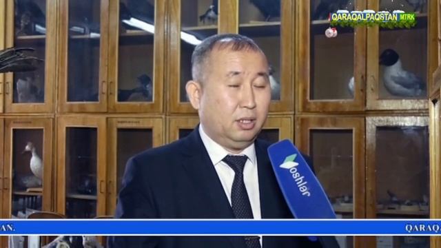 Қарақалпақстанға жаңа қус ушып келди! Ол қандай қус? смотреть онлайн