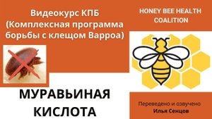 Как обрабатывать пчел муравьиной кислотой от клеща Варроа? Препарат МайтЭвей и 65% раствор (КПБ)