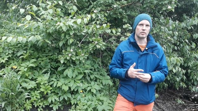 Про одуванчики. Почему на одной стороне дороги одуванчики жёлтые, а на другой белые? смотреть онлайн