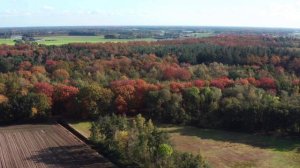 Asten, Нидерланды!