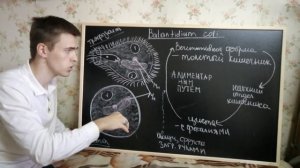 Балантидий (Balantidium coli) Балантидиаз