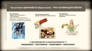 Концепция здоровья! Просто о главном TEDx. Андрей Левченко