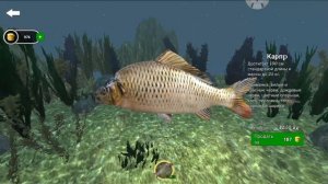 ultimate fishing simulator.ура мой новый рекорд!?