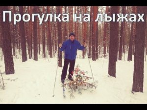Прогулка на лыжах