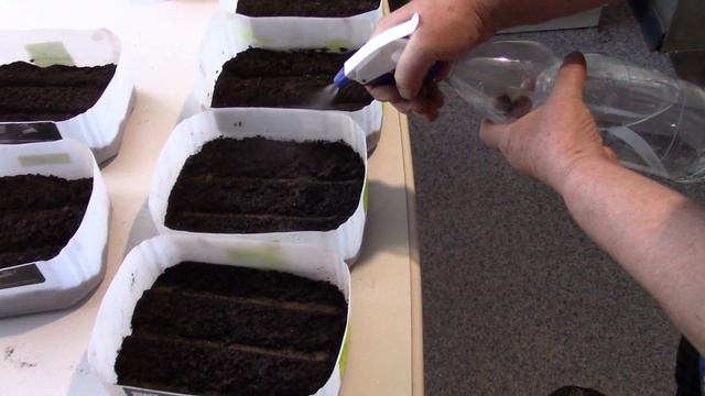 Наиболее оптимальный и практичный посев семян петуньи !!! смотреть онлайн