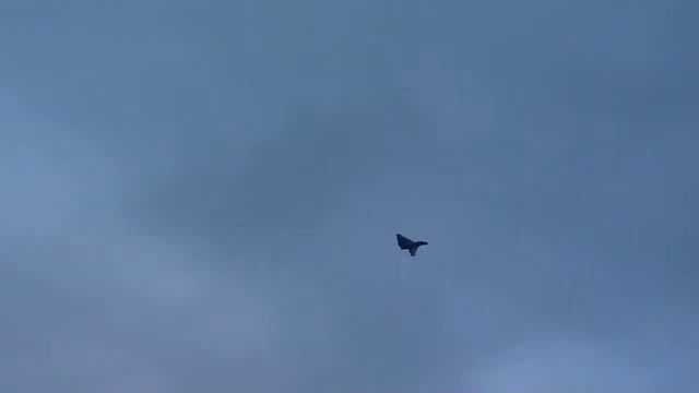 Полет .радиоуправляемого самолета.Су-27