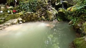 Солохаул. Бзогу. Музей-усадьба Кошмана.Крестовая пустынь (монастырь) Парк "Солохаул". Харциз Первый