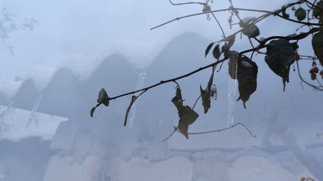 22 ноября преподобной Матроны день. Что нельзя делать 21 ноября ,Народные традиции и приметы смотреть онлайн