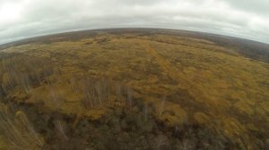 Охота осень 2014г на лося в Смоленской области на базе Привал.