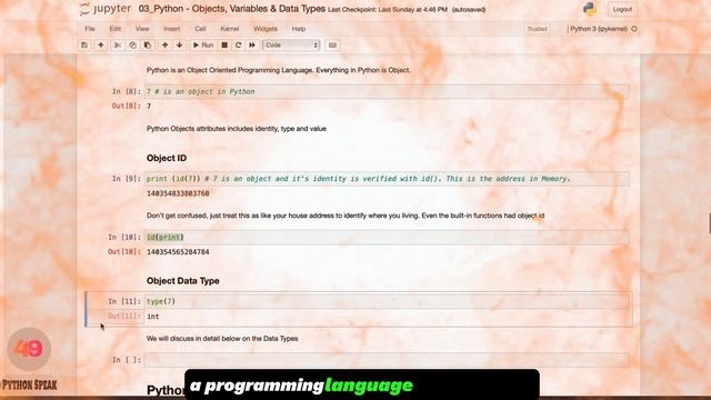 What Every Python Programming learners should know: Essentials - Object, Variables & Data Types ??