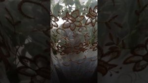 Пиратство на ютубе как делать деньги на перезаливке роликов через партнёрские программы