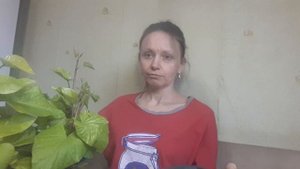 Батат, сладкая картошка, как вырастить рассаду, когда нужно садить батат для рассады, когда садить