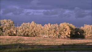 Мгновения осени.