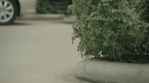 Добром на добро