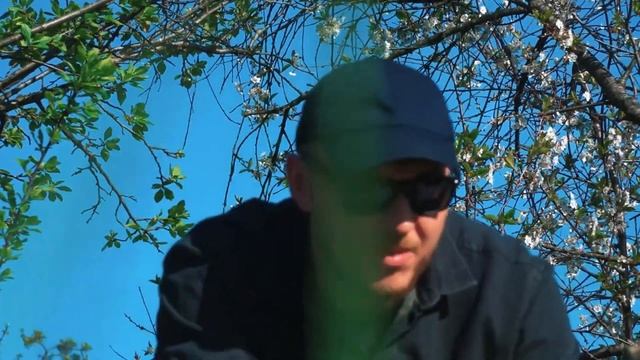 ЭКСКЛЮЗИВ ПАША ПЭЛ смотреть онлайн